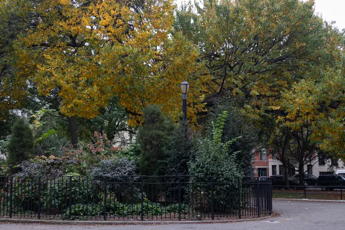 Colorful trees and plants in Tompkins Square Park during autumn in the East Village of New York City with a street light.